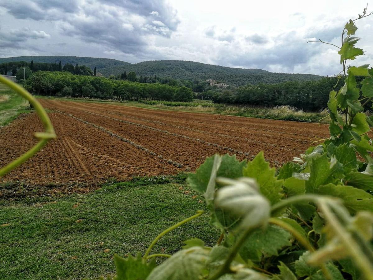 Claudia Vacanza Toscana - Appartamento Nocciolo- 10 Min Da Siena Malignano Extérieur photo