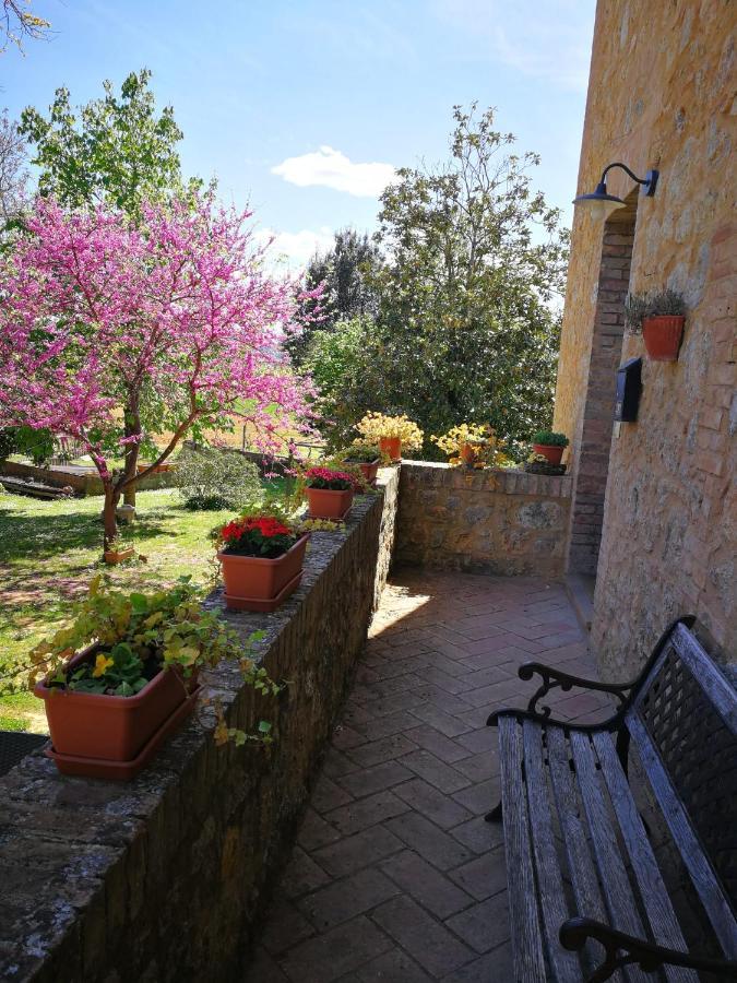 Claudia Vacanza Toscana - Appartamento Nocciolo- 10 Min Da Siena Malignano Extérieur photo